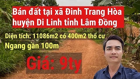 Bán lô đất tại xã Đinh Trang Hòa huyện Di Linh tỉnh Lâm Đồng