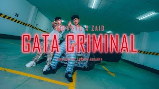 Gata Criminal - Tory FTC x Zaid (Video Clip) prod by @zeikoAF x @revool_music