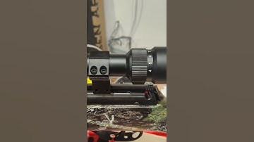 Webley VMX .177 fitted with an AGS scope 4-16x50 illuminated recticle. @glamorgangunroom