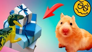 ЛЕГО ИНОПЛАНИТЯНЕ И ПОДАРКИ В КОРОБКЕ! ДОМАШНИЕ ПИТОМЦЫ. Лего динозавры ЛЕГО ИНОПЛАНИТЯНЕ И ПОДАРКИ В КОРОБКЕ! ДОМАШНИЕ ПИТОМЦЫ. Лего динозавры