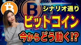 ビットコインの価格予想と稼ぎ方【BTC価格が1000万円説】MACD弱きのヒドゥンダイバージェンスとエリオットとBCHハードフォーク
