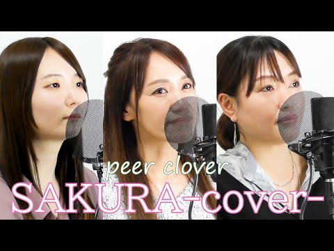 【COVER】SAKURA／いきものがかり（Covered by peer clover）