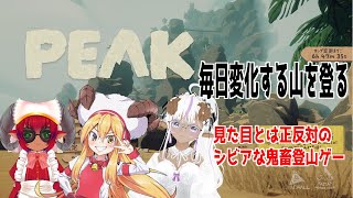 PEAK　文字通りキャリーする登山　あしぇちゃんともこちと登る　#おじのまとん