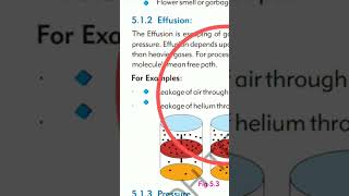 what is definition of effusion ?
