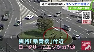 観光スポット