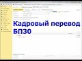 Кадровый перевод в БП30