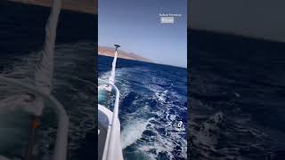 نعمل ايه فدهب؟! 🤔 اكيد رحله يخت جبر البنت و نابوليون ريف🛥️  Dahab-Egypt🇪🇬