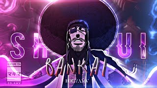 Bleach - Shunsui Bankaieditamvalight Motion Preset