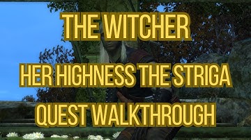 The Witcher Her Highness The Striga Quest Walkthrough