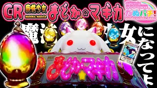 究極の○い込み魔法CR魔法少女まどか☆マギカ ほむら(319)ver.　パチンコ実践京楽.【たぬパチ】