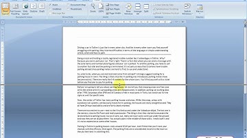 How to view different parts of my document at the same time? | Word 2007