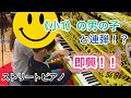 Street Piano/ストリートピアノ/小1の男の子と一緒に即興連弾してみたら!?《残酷な天使のテーゼ》【豊洲フォレシア】