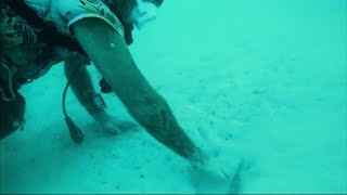 Treasure hunters in the Keys recover silver bar from 400-year-old shipwreck