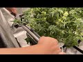 Grow Tent Accessories!
