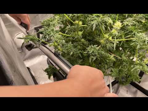 Grow Tent Accessories!