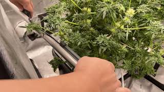 Grow Tent Accessories!