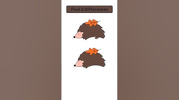 Spot 3 Differences #1275