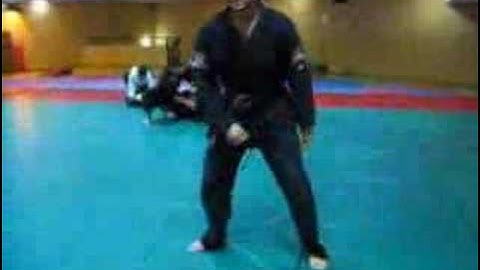 Yoko kaiten, side roll, basic - Ninjutsu techniques for Akban wiki