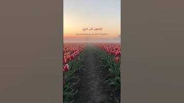 #explore #explorepage #quran #allah #الجمعة #ترند #تلاوة_خاشعة #تلاوة #محمد_ﷺ