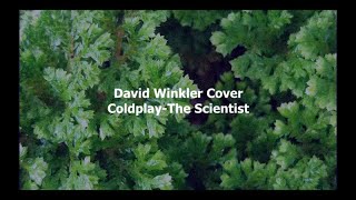 Coldplay - The Scientist Cover by Dave Winkler (Lyrics)