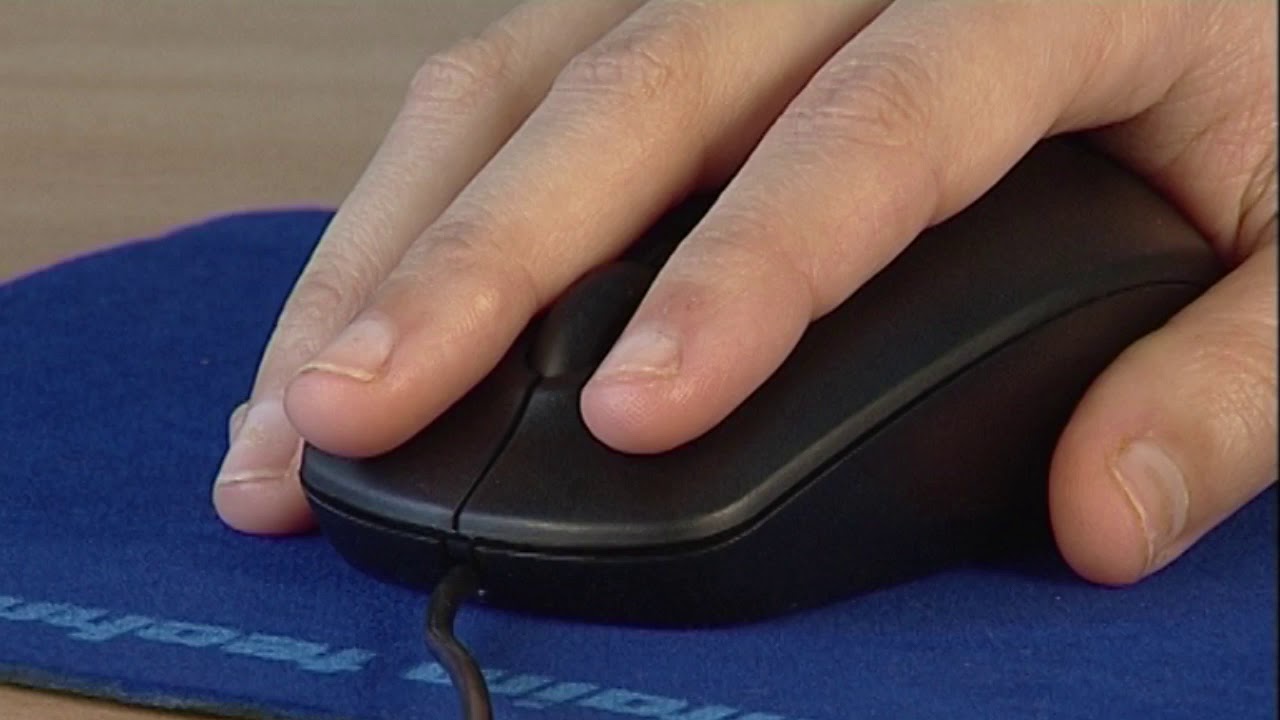 Learn Computer Pointing Devices Module 1 Lesson 5 Student 