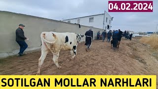 SOTILGAN MOLLAR NARHLARI СОТИЛГАН МОЛЛАР НАРХЛАРИ SURXONDARYO VILOYATI QIZIRIQ JAXON MOL BOZORIDA