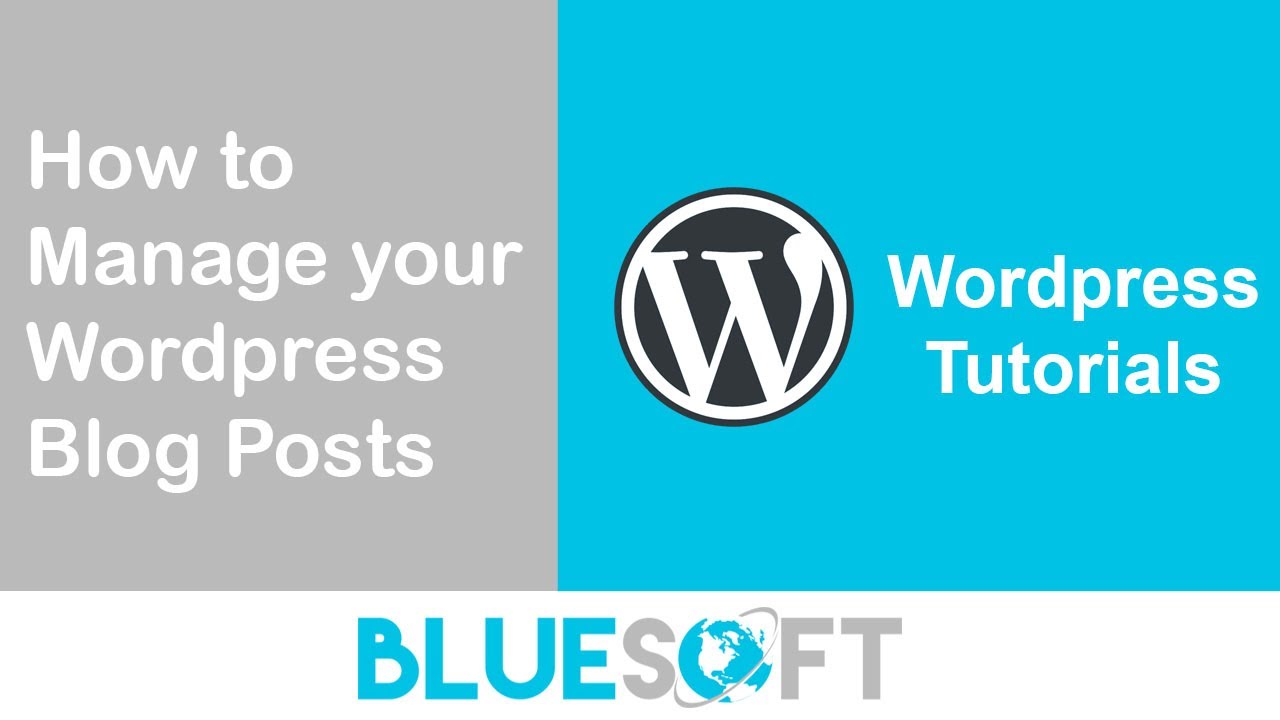 WordPress Tutorial - How to Create & Manage Wordpress Blog Posts - YouTube