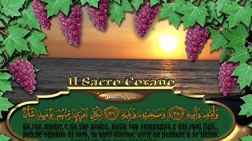 سورة عبس