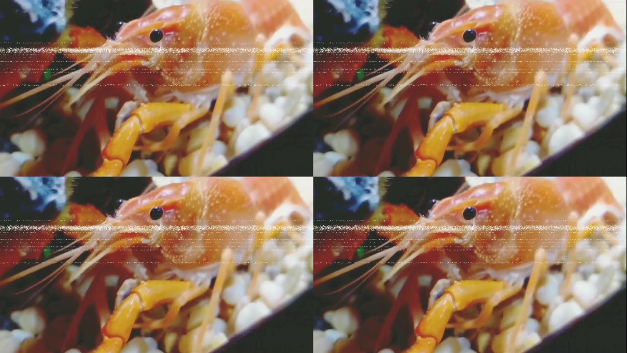 Pinchys Theme (Krusty the Clownfish remix)