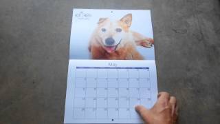 2013 calendar by Australian Working Dog Rescue 224 views 10 years ago 1 minute, 11 seconds