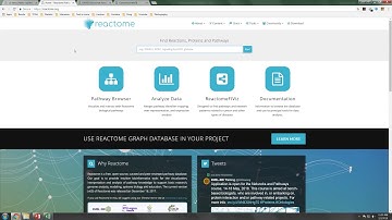 04-03 Mutation Analysis – pathway Analysis