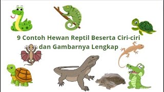 9 Contoh Hewan Reptil Beserta Ciri ciri dan Gambarnya Lengkap