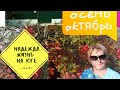 Какие дома продают,все краски осени.плюсы и минусы проживания возле завода.