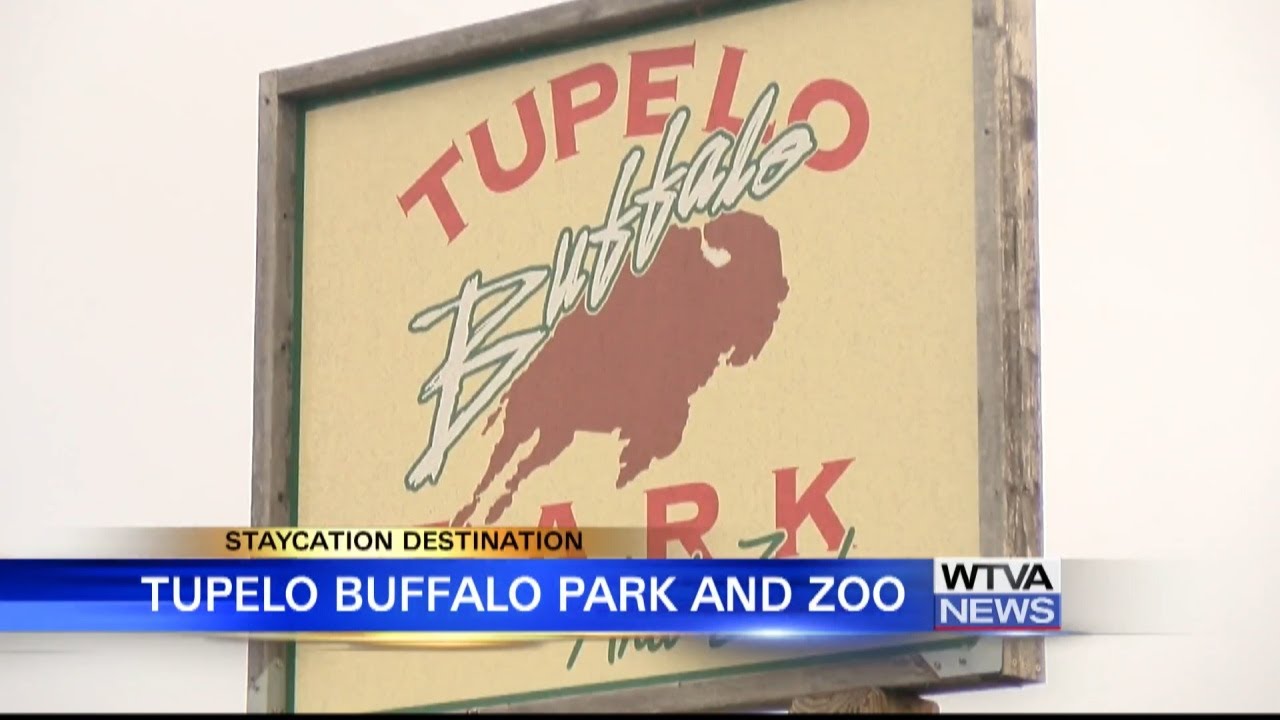 Staycation Destination: Tupelo Buffalo Park and Zoo