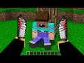 WHO KIDNAPPED NOOB? POLICE INVESTIGATION in Minecraft Noob vs Pro