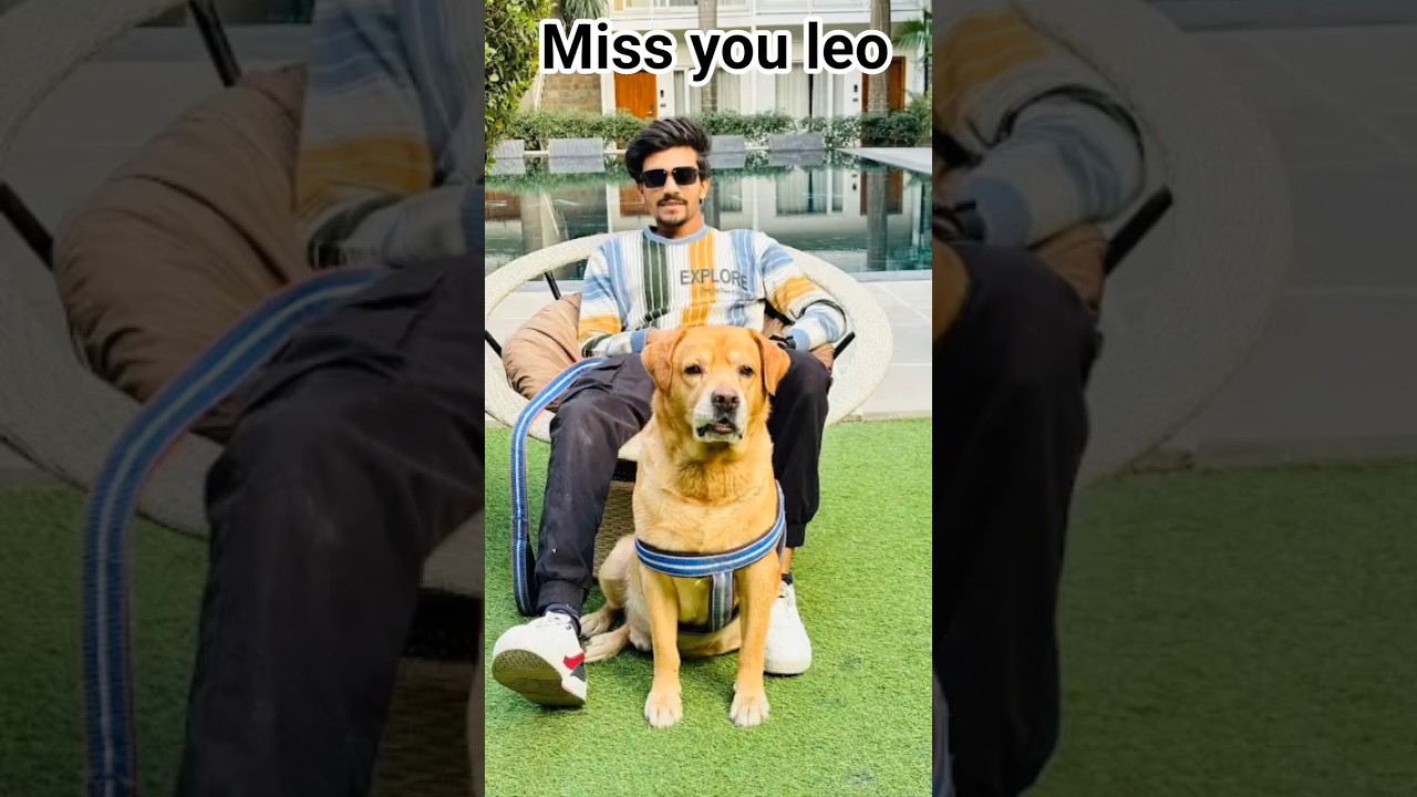 Leo 💔 Miss daily anant