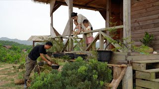 How to naturally arrange ornamental plants beautifully for a wooden stilt house, Off Grid Living
