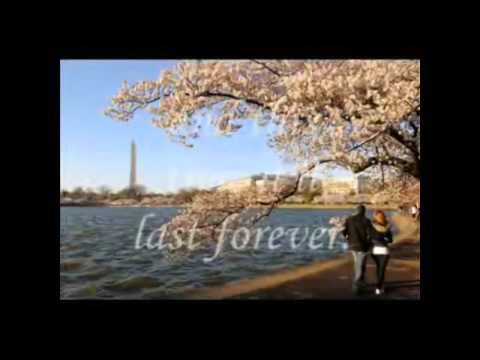 Always and Forever by Kathryn Meyer Griffith.wmv