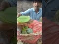 111 pandukan #shorts #ytshorts #funny #viral #education #facts #vlog