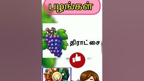 பழங்கள் | learn name of fruits name in Tamil for kids | Akkidschoice #subscribe