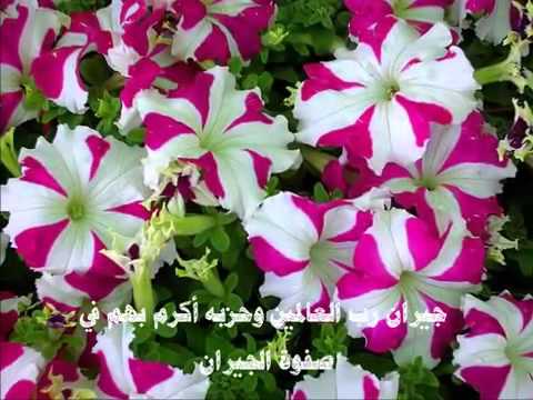 هي جنة بدون ايقاع