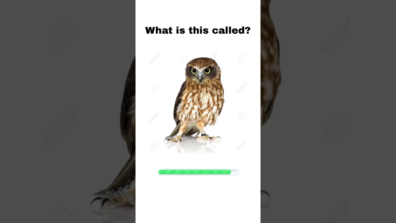 Learn English in 30 Seconds! ⚡ 