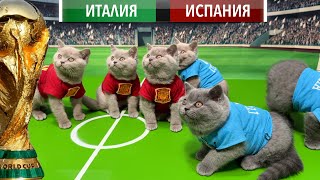 КОШАЧИЙ ФУТБОЛ! КОТЯТА ИГРАЮТ В ФУТБОЛ! ЧЕМПИОНАТ НА  РУССКОМ ЯЗЫКЕ. ИГРА #2, ИТАЛИЯ И ИСПАНИЯ.