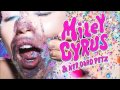Miley Cyrus Dooo It Audio mp3