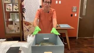 International Archives Day