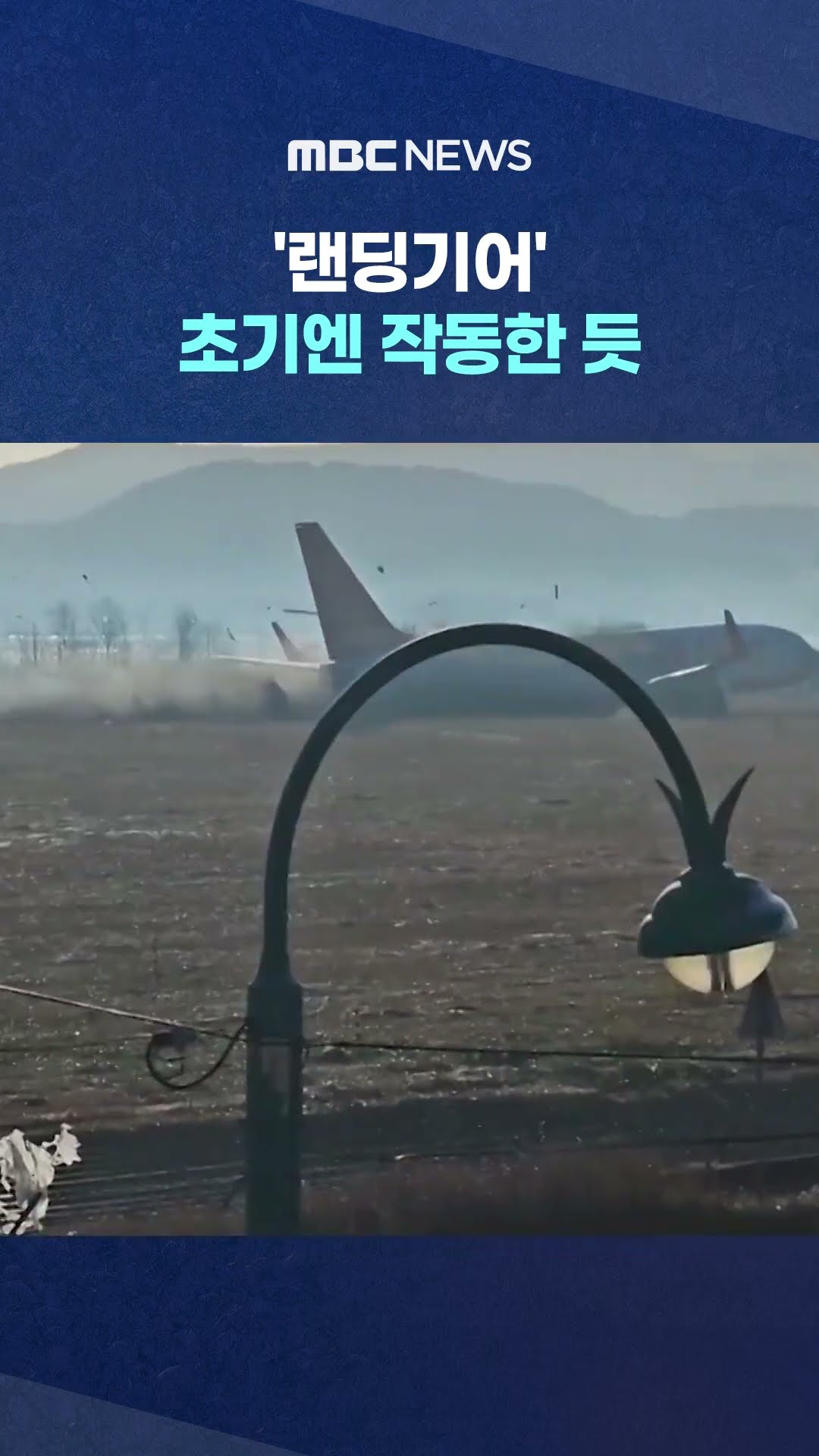 '조류 충돌'이 결정타? #Shorts (MBC뉴스)