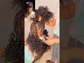 Havana Curls Hairstyle Hair Braids