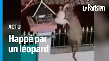 Où vit le léopard ?