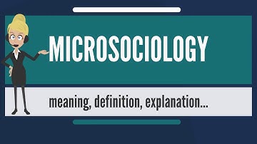 What is MICROSOCIOLOGY? What does MICROSOCIOLOGY mean? MICROSOCIOLOGY meaning & explanation