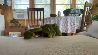 Celebrity Cherry turns into a pig! 🐷 Wealth